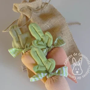 Kit Zanahorias (3)