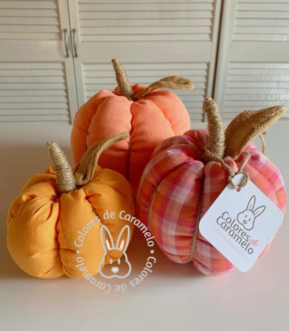 Calabazas con yute (3)